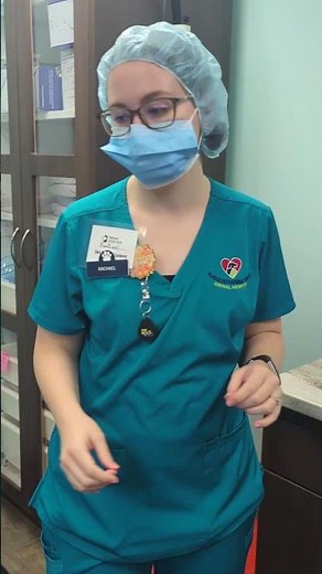 Penn Foster externship 2 Skill 2