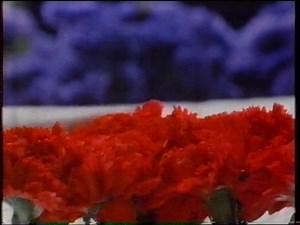 ABC TV Promo Break (ABQ-2, 1992) : Australian Broadcasting Corporation : Free Download, Borrow, and Streaming : Internet Archive