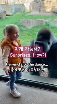 Gorillas & Kids: Unexpected Moments of Connection | 고릴라와 아이들의 놀라운 순간