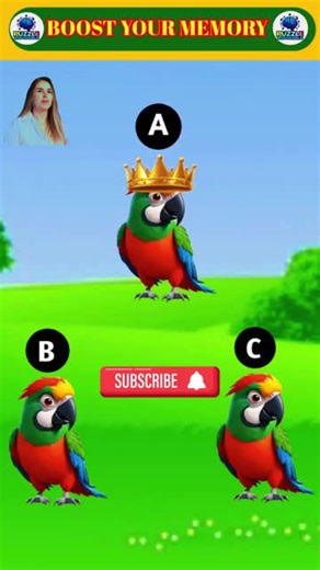 Real Parrot Challenge: Can You Spot the Difference?