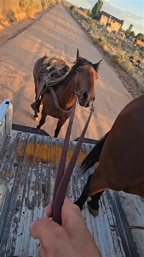 Truck Ride | Western Works