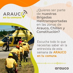 49K views · 322 reactions | Todavía estás a tiempo para postular e integrarte al equipo de Brigadas Helitransportadas de ARAUCO. ¡Conoce los detalles de la postulación en esta entrevista, no te lo pierdas! | ARAUCO | Facebook