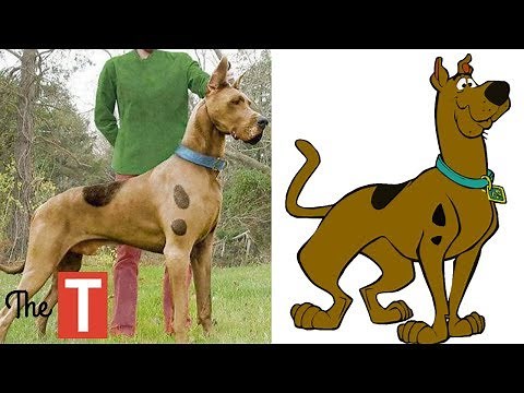 10 Kids Cartoon Characters SEEN IN REAL LIFE