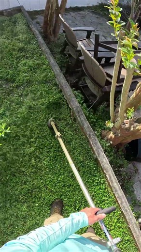 Satisfying lawn clean-up