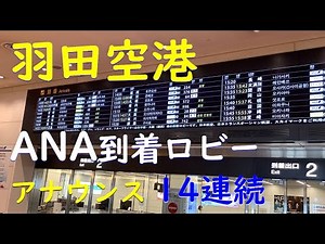 【ANA】羽田空港第2ターミナル到着ロビーアナウンス【ソラシドエア】