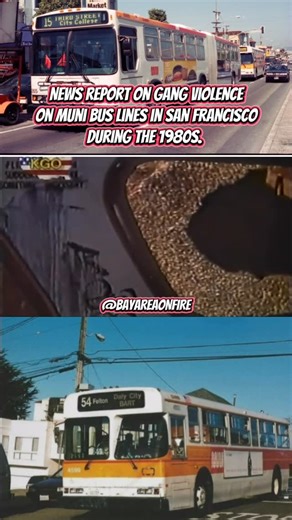 @_bayareaonfire on Instagram: "News report on Gang violence On Muni Bus lines in San Francisco During the 1980s. #bayareaonfire #sanfrancisco #muni #1980s #throwback Credit: Upper Playground TY"
