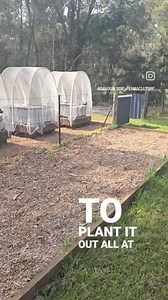 Installing a forest garden hedgerow part 1 | Savour Soil Permaculture