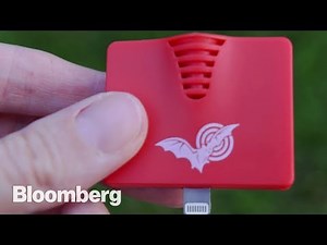 This Bat Locator App Will Make You a Citizen Scientist