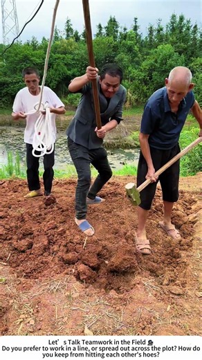 Three-Person Hoeing – Shared Effort, Faster Results 🌱⛏️