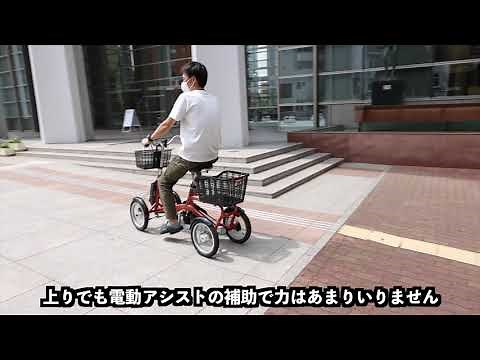 電動アシスト付き四輪自転車 けんきゃくん 作業療法士レビュー