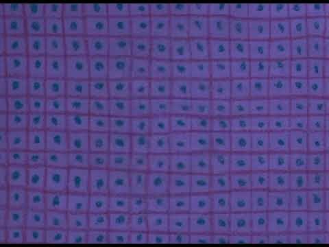 Arthur Credits (Textless and Instrumental)