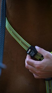 Explore Woof Wear's LED Collection, designed to keep horse and rider safe and seen | Woof Wear