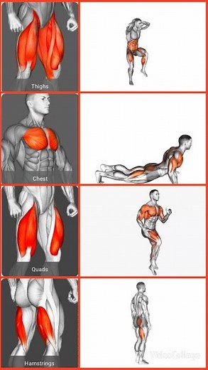 4 Easy Exercises for Beginners | Start Today 💪