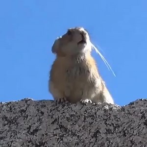 8.5K views · 183 reactions | ..... viernes 浪 | Auto Control | Facebook