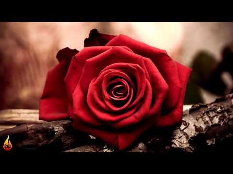 1 Hour Sad Piano Music | Emotional Instrumental Piano Music ♫452