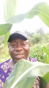 Calcul Rénaux , Douleurs Aux Reins, Infections Urinaires , Nettoyage De La Vessie. Voici La Solution Définitive À L'aide Des Produits Naturels. Contact 2348133751423 Dr Hilaire Nasser F | Traitement aux plantes naturelles