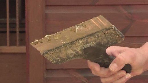 How To Clean Pigeon Droppings