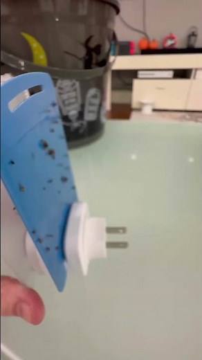 Raid Insect Light Trap