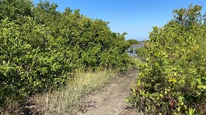14K views · 222 reactions | Kayak launch spot ️ | Living Cedar Key | Facebook