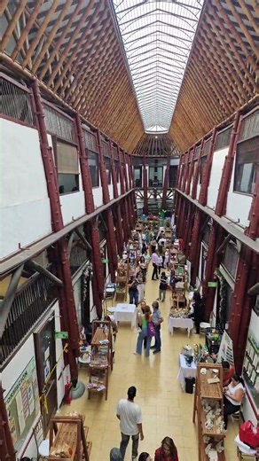 Noticias En Vivo on Reels