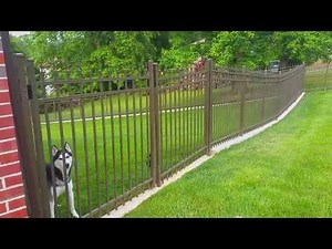 No-Dig Dog Fence ~ The Fence for Dogs that Dig! - Outdoor Living Expert