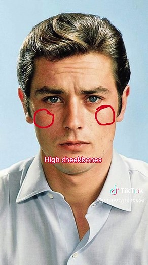 Understanding Alain Delon’s Phenotype Characteristics