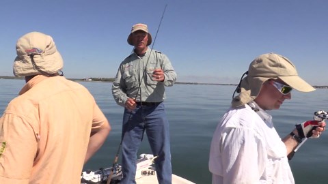 Drop shot rigging jigging - the T-Drop and Flexi-Jig winning combo