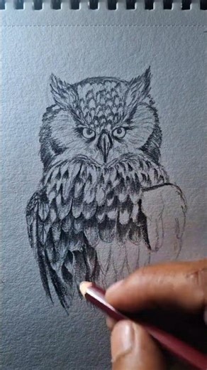 Step one draw two circles. Step two finish the owl.#sketch #drawing #tutorial #anime #dulfoartstyle