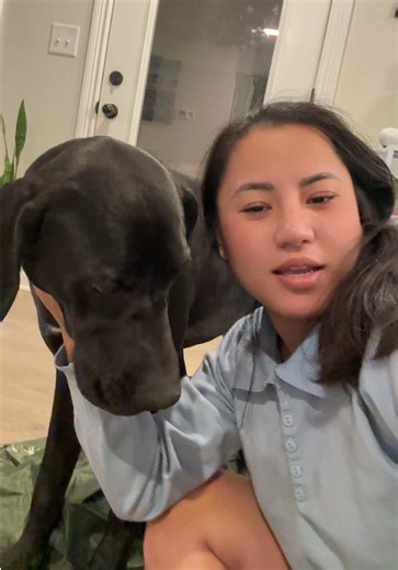 Kali Assists with My Project