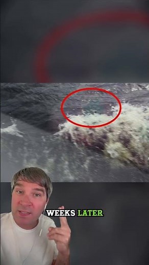 TWO Loch Ness Monster Sightings Caught on Camera?! 👀