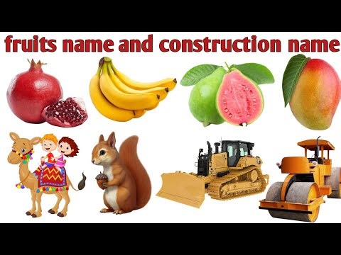 fruit name | construction vehicles names | animal Name | hindi and english name | kids for study