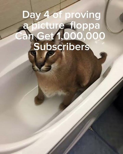 Day 4 of proving a picture of floppa can get 1,000,000 subscribers