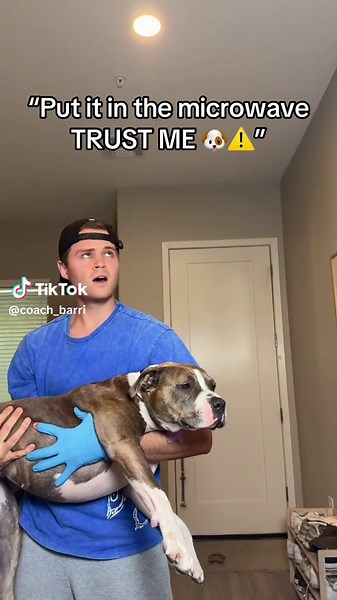 Yak cheese deal is live ✅🔥 #dogchews #dogowners #dogtreats | Dog Treats