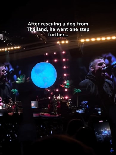 Liam Gallagher's Heartwarming Connection with Buttons the Rescued Dog