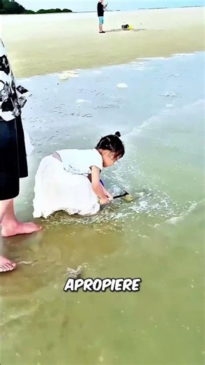 🦀 The Dad's Hack for a School Project