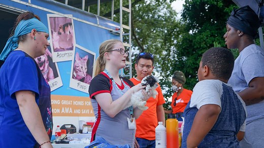 Vets on Wheels | Free Vet Services for Camden NJ Pets | AWANJ