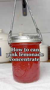 How to can pink lemonade concentrate. #pinklemonade #canning #canningandpreserving #canningforbeginners #foodpreservation | Hannah Easton