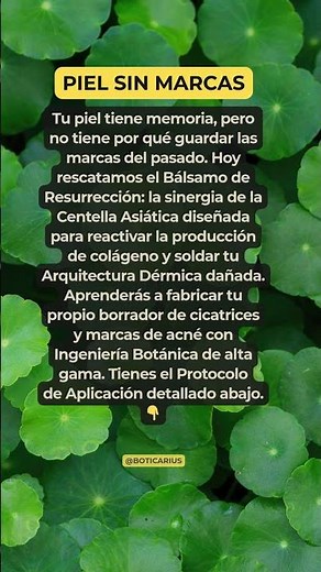 "BORRA CICATRICES" ¡Bálsamo de Centella Asiática para una Piel sin Marcas!