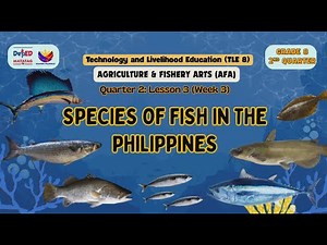 Species of Fish in the Philippines Quarter 2 Lesson 3 Week 3