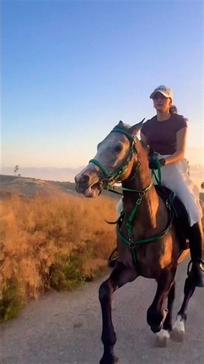 🐎 Girl Horse Speed Up | Fast Riding Adventure 🔥 #Shorts