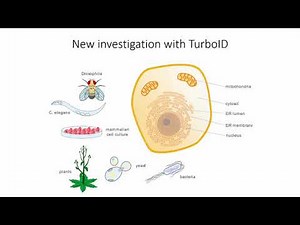 W1 Session 2: Emerging Proteomics Techniques & Tools