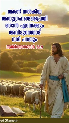 Psalm 52:9: Faith in God's Plan