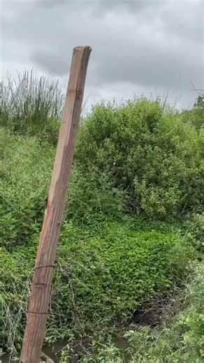 Untold Me: Installing Flat Fence Lines to Protect Cattle from Imminent Danger #shots