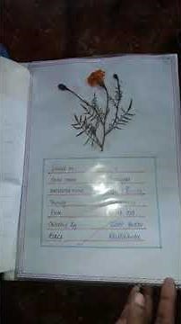 Herbarium project file