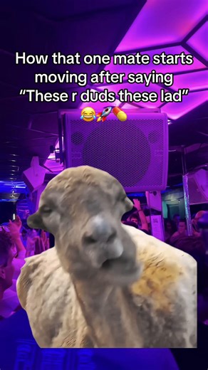 Ibiza Party Essentials for Summer 2026