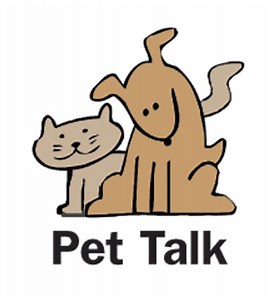 The basics of puppy training