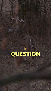 If you have private land to hunt big bucks, are you hunting other species on that ground? New episode of the Raised Hunting Podcast is out now where we break down our most memorable misses and how we manage our deer hunting ground! Link in story | RAISED HUNTING