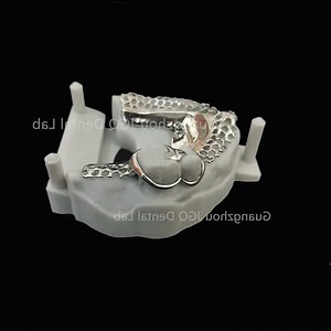 [Hot Item] 3D Titanium Bracket by Slm Selective Laser Melting Technology and X-ray Imaging with High Strength and Quality Support Dentures.