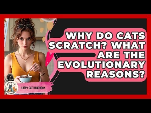 Why Do Cats Scratch? What Are The Evolutionary Reasons? - Happy Cat Handbook