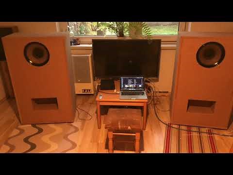 Goodmans Axiom 301